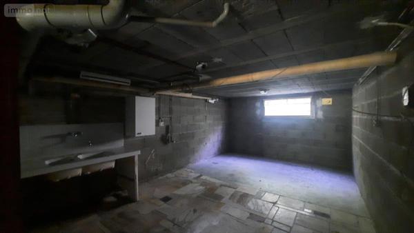 Pavillon à vendre à Val-Fouzon dans l'Indre (36210), ref : 021/1544