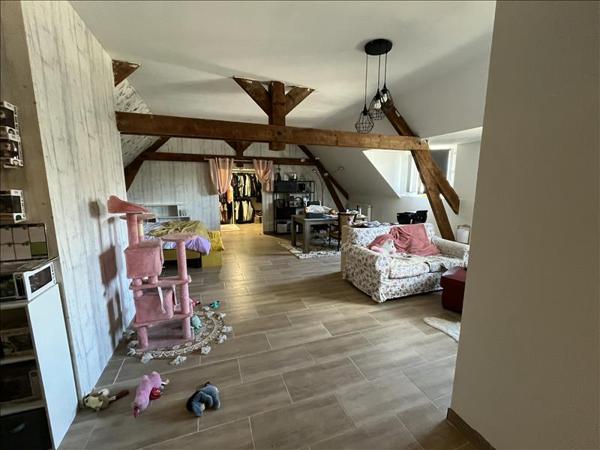 Maison à vendre |  Terrasson-Lavilledieu |  8 pièces | 251 m²