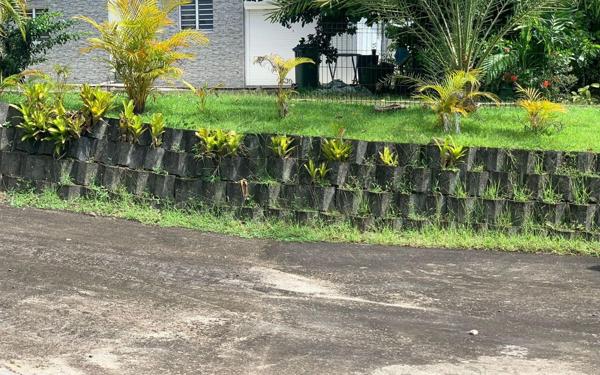 Appartement à louer    2 pièces • 30 m2 Lamentin