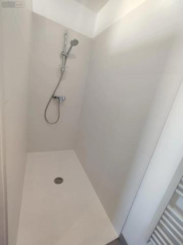 Location - Maison Rouen 76000 4 pièces 88 m 2 170 m 2