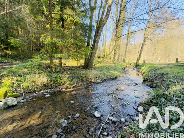 Terrain à vendre 4 591 m² Rexingen