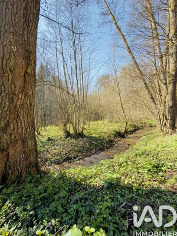 Terrain à vendre 4 591 m² Rexingen