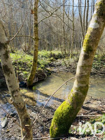 Terrain à vendre 4 591 m² Rexingen