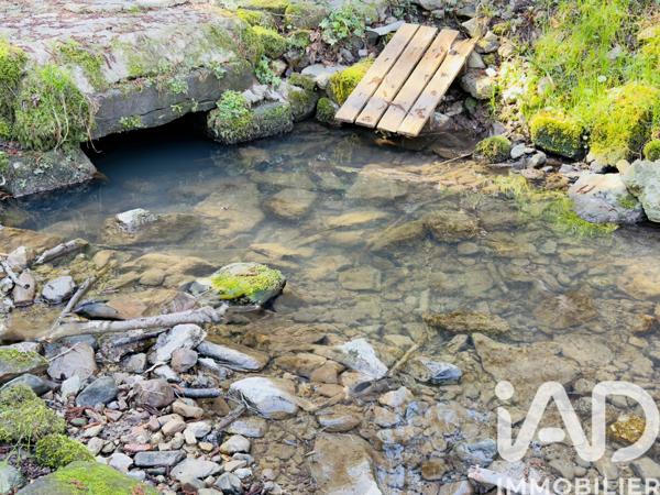 Terrain à vendre 4 591 m² Rexingen