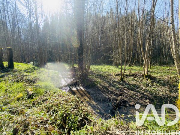 Terrain à vendre 4 591 m² Rexingen