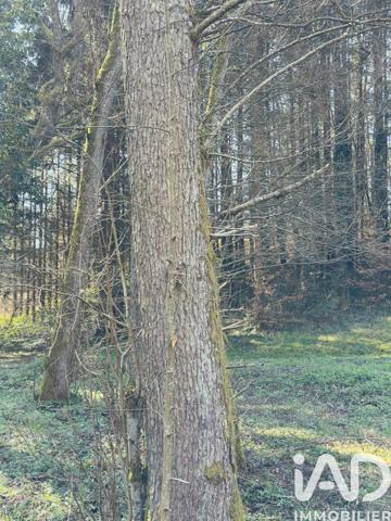 Terrain à vendre 4 591 m² Rexingen