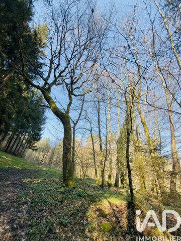 Terrain à vendre 4 591 m² Rexingen