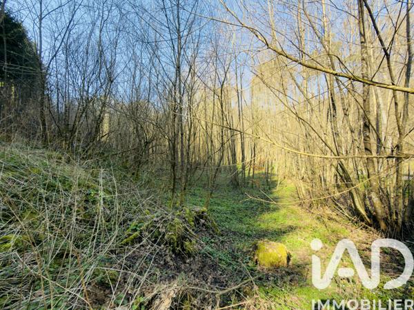 Terrain à vendre 4 591 m² Rexingen