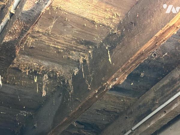 A 15 MIN DE VANNES  CAMPAGNE PROCHE D'UN BOURG - PROPRIETE DEUX HABITATIONS SUR PLUS DE 5 HECTARES