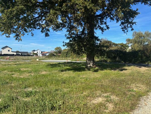 Terrain à bâtir viabilisé bourg de SAINT MARS DU DESERT "LA HAUTE NOË"