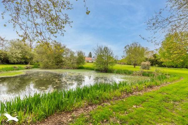 Maison à vendre |  Saint-Vincent-de-Paul |  9 pièces | 250 m²