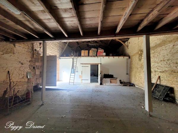 Propriété à vendre 14 pièces SAINT JEAN D'ANGELY (17) - Ancien domaine viticole, Bâti de 940 m2, Maison de maître, Dépendances.