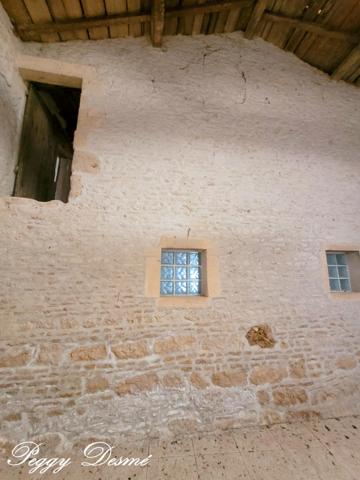 Propriété à vendre 14 pièces SAINT JEAN D'ANGELY (17) - Ancien domaine viticole, Bâti de 940 m2, Maison de maître, Dépendances.