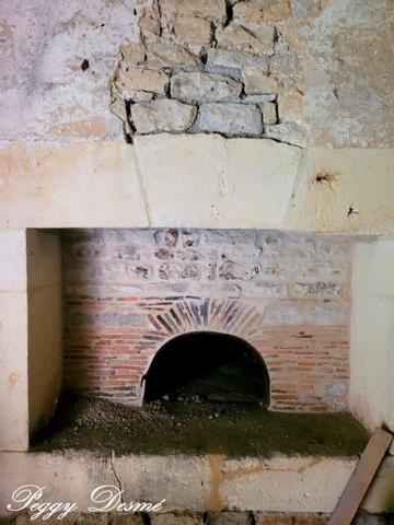 Propriété à vendre 14 pièces SAINT JEAN D'ANGELY (17) - Ancien domaine viticole, Bâti de 940 m2, Maison de maître, Dépendances.