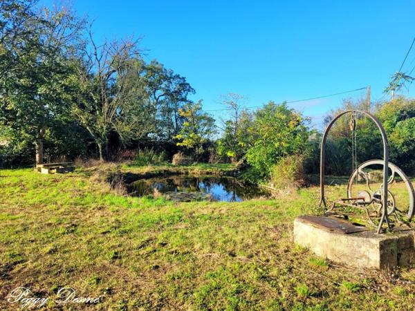 Propriété à vendre 14 pièces SAINT JEAN D'ANGELY (17) - Ancien domaine viticole, Bâti de 940 m2, Maison de maître, Dépendances.