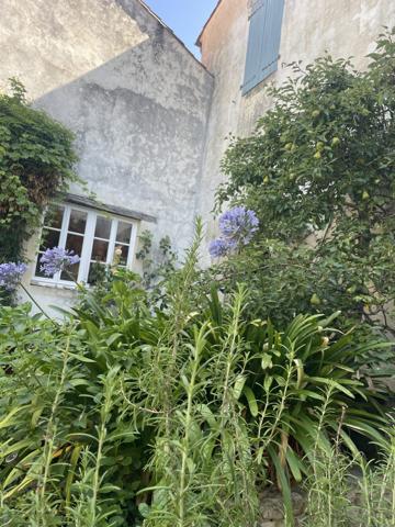 Sainte Marie de Ré