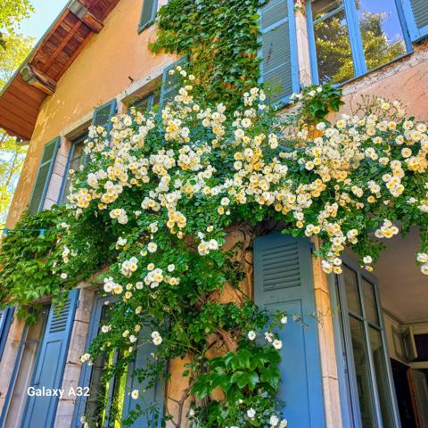 Maison 13 pièces - 370 m² Bien prestige