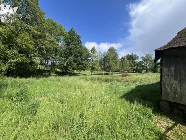 COUTERNE, a 3 min de BAGNOLES DE L’ORNE, longère à rénover sur terrain d'1ha