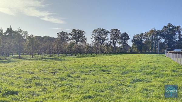 Achat terrain près de Épaignes - 700 m² - 48 500 €