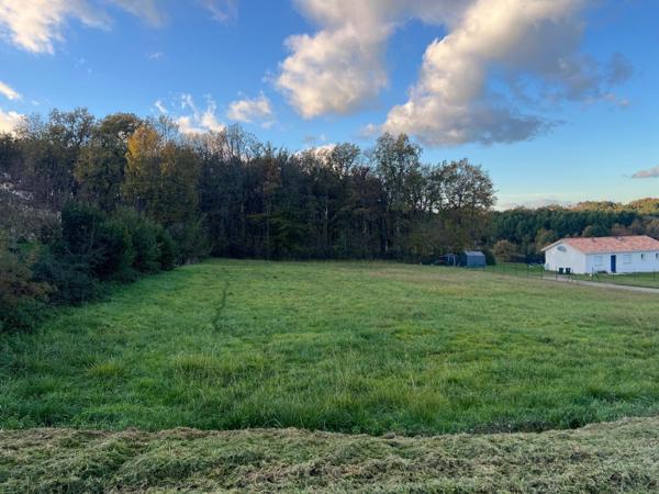 À vendre : Terrain constructible de 1 530 m² – Idéal pour votre projet de vie !