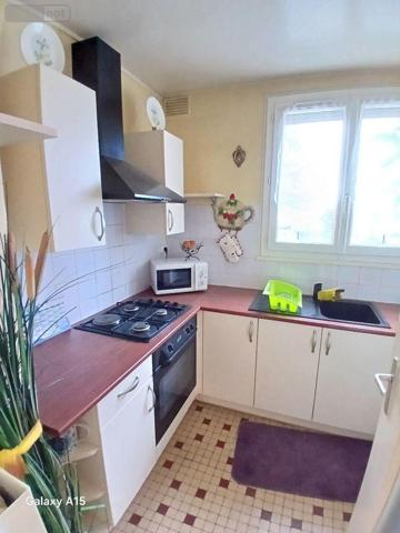 Appartement à vendre à Orléans dans le Loiret (45000), ref : 12295/232   
PISCINE L'O