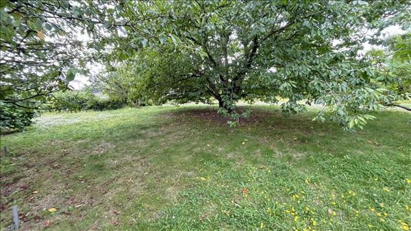 Terrain à vendre 66 900 € Saint-Aignan 2163 m² DPE