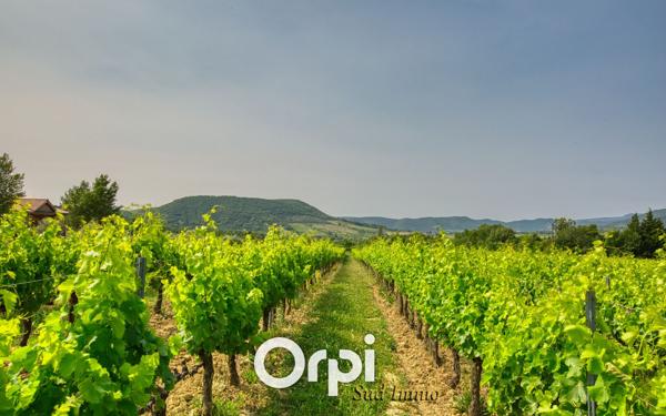 Maison à vendre    9 pièces • 200 m2 Alba-la-Romaine