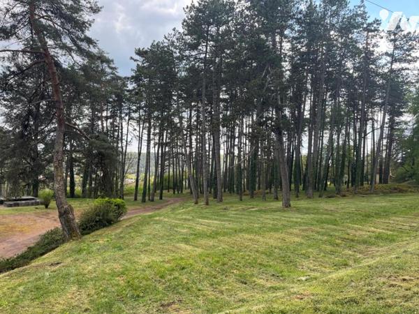 propriété NORD DIJON  de 14 pièces sur parc boisé de  5,4 HA
