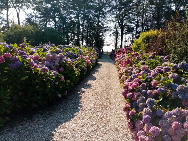 Dpt Seine Maritime (76), à vendre proche VEULES LES ROSES maison P3