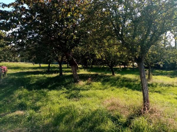 Dpt Seine Maritime (76), à vendre proche VEULES LES ROSES maison P3