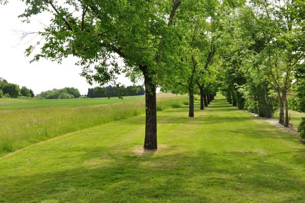 À Vendre – Maison de Plain-Pied avec Gîte Indépendant, Piscine et Parc Arboré sur 12 ha