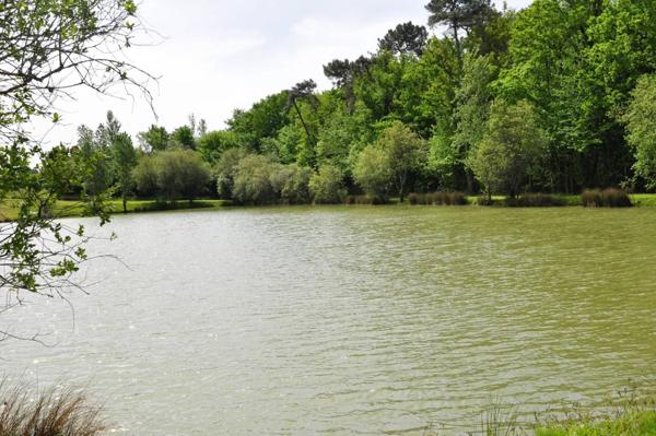 À Vendre – Maison de Plain-Pied avec Gîte Indépendant, Piscine et Parc Arboré sur 12 ha