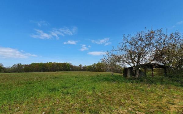 Terrain à vendre    Castaignos-Souslens