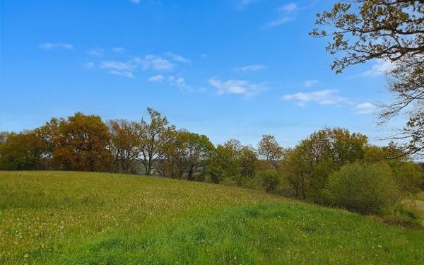 Terrain à vendre    Castaignos-Souslens