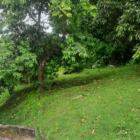 Beau terrain vue sur mer au quartier Lestrade