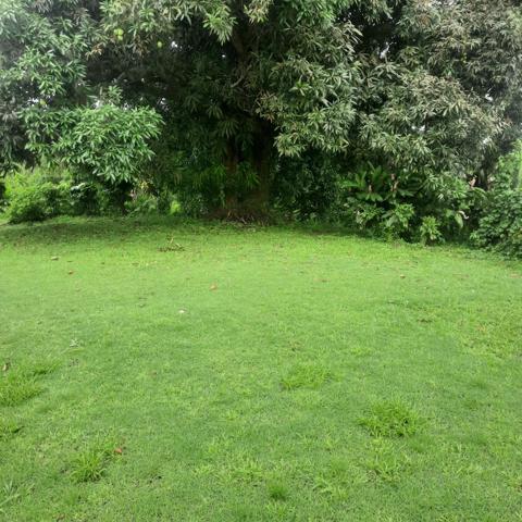 Beau terrain vue sur mer au quartier Lestrade