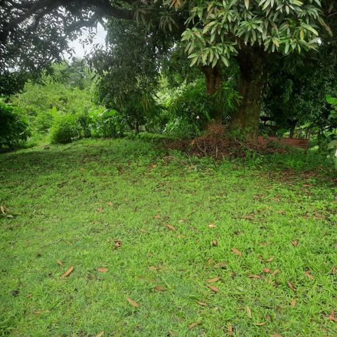 Beau terrain vue sur mer au quartier Lestrade