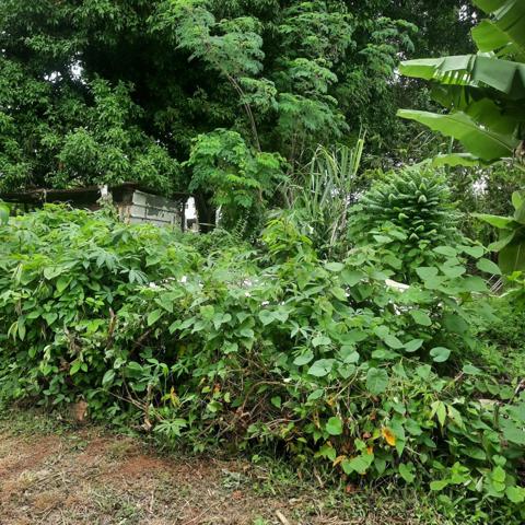 Beau terrain vue sur mer au quartier Lestrade