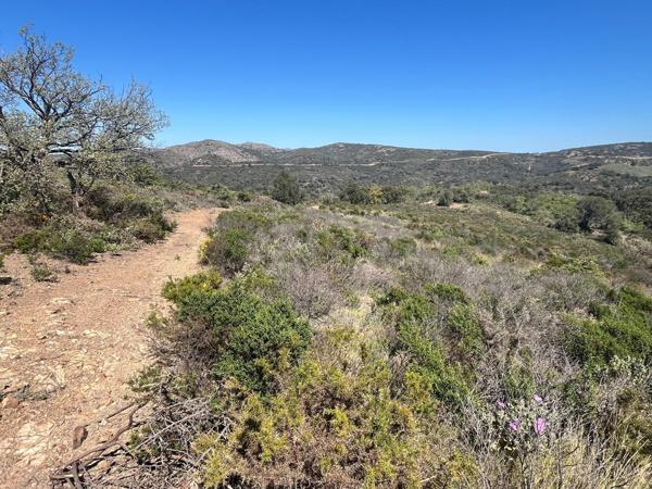 Terrain agricole avec divers projets possible .