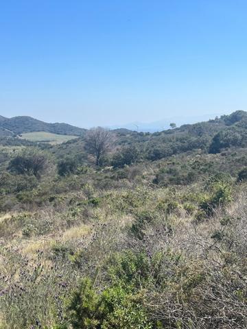 Terrain agricole avec divers projets possible .