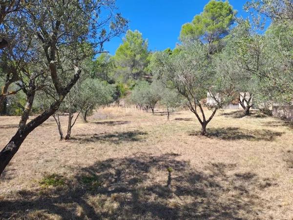 Location                                                      Maison
                        
                     3 pièces                      77 m2                     à Salernes