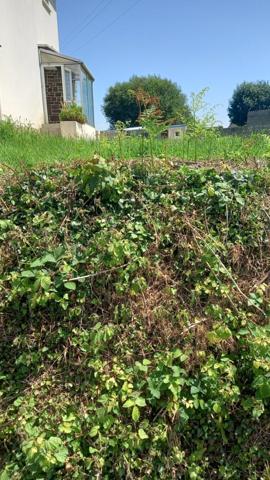 Maison à PLOUDANIEL, 29260 - 5 pièces 80m²