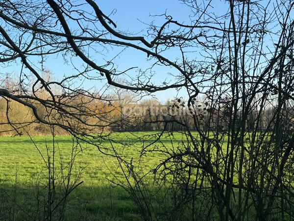 Vente Maison225 m² - 6 Pièces - SAINT PAIR SUR MER (50380)