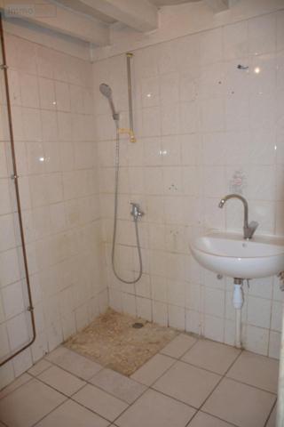 Maison à vendre à Val-du-Maine en Mayenne (53340), ref : 53039-363