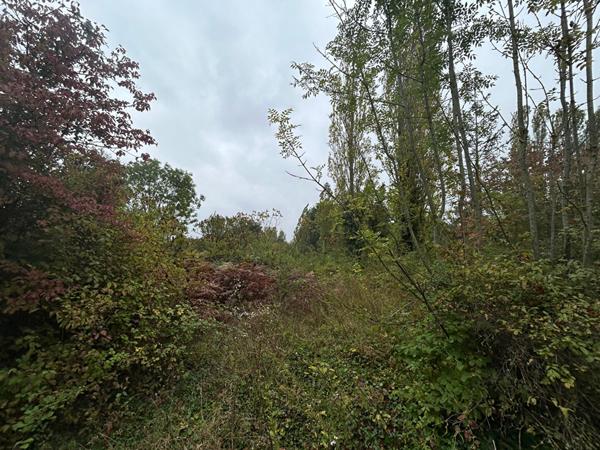 Terrain Constructible Auxy 5798 m2