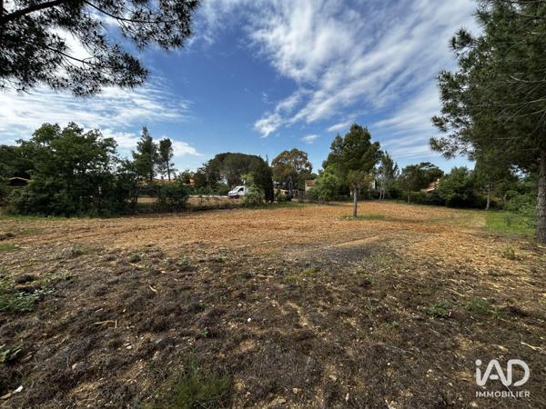 Terrain à vendre 900 m² Montesquieu-des-Albères