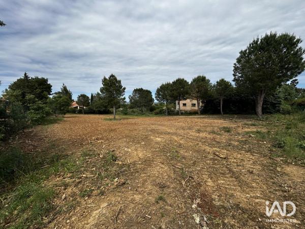 Terrain à vendre 900 m² Montesquieu-des-Albères