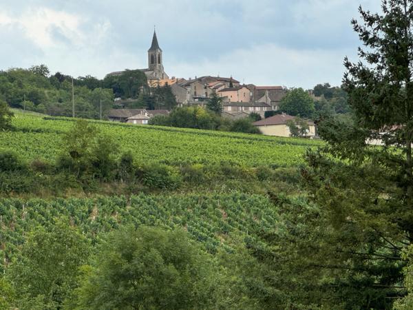 Maison à vendre 7 pièces proche de MACON (71)