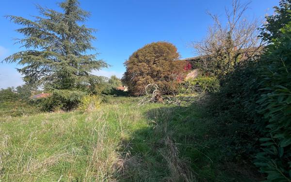 Terrain à vendre    Sourcieux-les-Mines