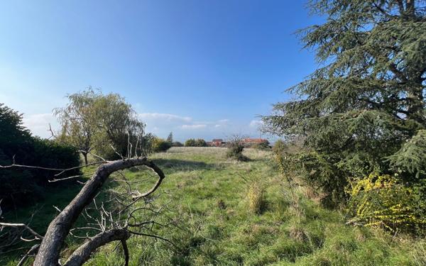 Terrain à vendre    Sourcieux-les-Mines